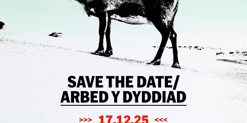 Beacons Cymru Membership Christmas Social