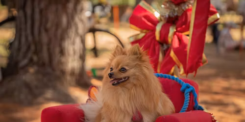 We Woof You a Merry Christmas | Paws Party