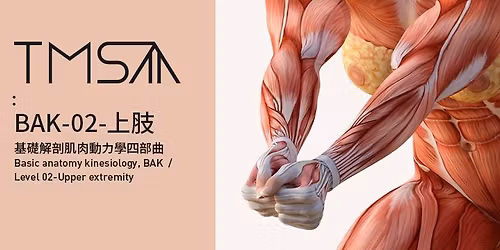 (\u984d\u6eff)BAK\u57fa\u790e\u89e3\u5256\u808c\u8089\u52d5\u529b\u5b78-LV02-\u4e0a\u80a2-\u3010\u53f0\u5317\u5834\u3011