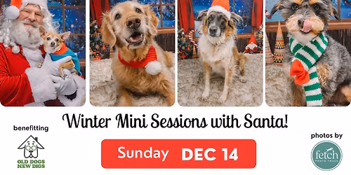 Dog Photos with Santa | Benefitting Old Dogs New Digs
