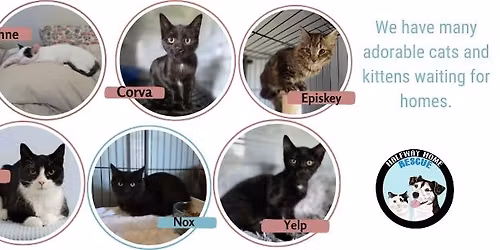 Petsmart Adoption Event