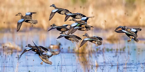 2025 Thibodaux Ducks Unlimited Banquet