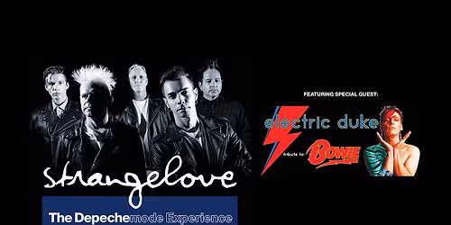 Parking Strangelove: The Depeche Mode Experience