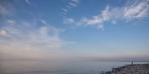 Pinseretr\u00e6te: Inspiration til at finde din indre gl\u00e6de