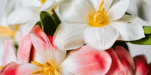 Herbert River Orchid Club's Yungaburra\/Cairns Bus trip