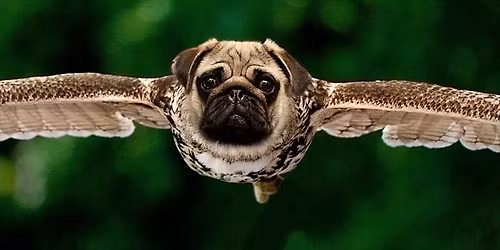 Der Jandl kommt ! 100 Jahre Jandl !