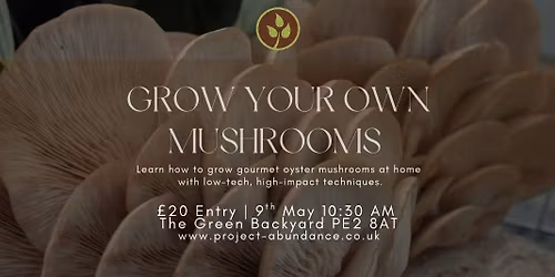 Grow Your Own Mushrooms