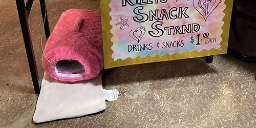 Riley\u2019s snack stand, helping pay down her medical expenses.