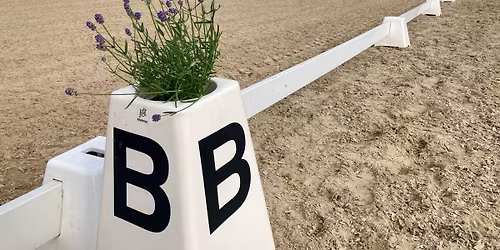 Sommerst\u00e6vne - Dressur og Spring C\/D