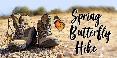 Spring Butterfly Hike to Rackensack Wash \ud83e\udd7e