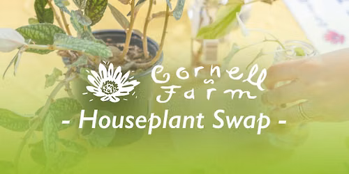 Summer Houseplant Swap