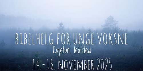 Bibelhelg for unge voksne p\u00e5 Evjetun h\u00f8sten 2025
