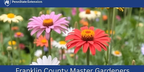 Franklin County Master Gardeners Plant Sale