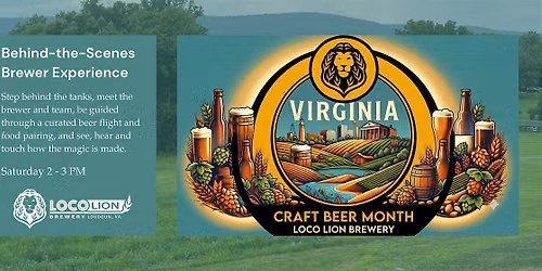 Brewer Experience