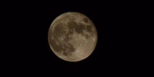 Full Moon Paddle - Flower Moon