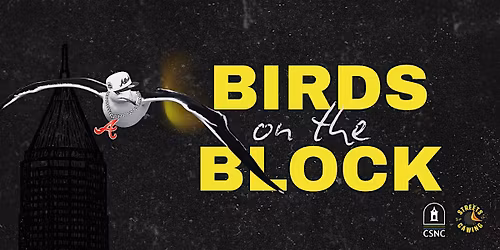Birds on the Block