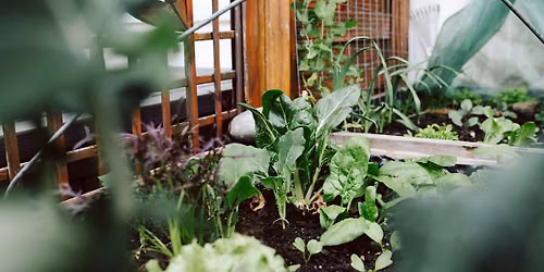 Fall Garden Planning Workshop
