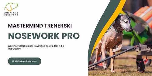 Mastermind Trenerski - Nosework PRO