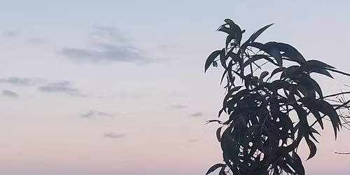 Casual Group Walk & Talk