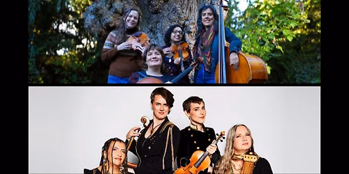 Cicada Woods Album Release with guests Medusa Quartet at Hugh's Room Live in Toronto