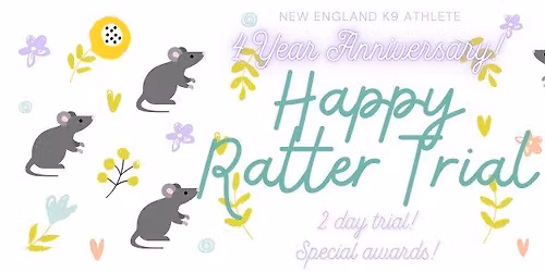 4 Year Anniversary HR Trial!