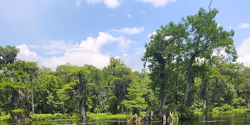 Boat & Brunch at Wakulla Springs