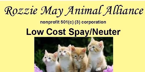 Spay\/Neuter for kittens and cats!