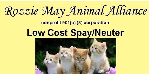Spay\/Neuter for kittens and cats!