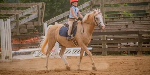 Hunter Derby Show 