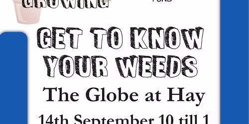 Get to know your Weeds