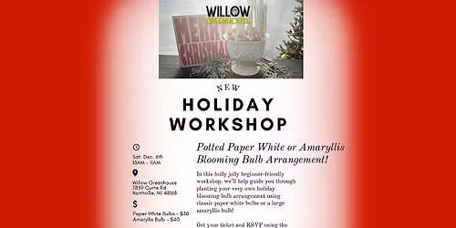 Holiday Blooming Bulb Arrangement!