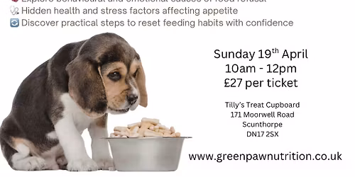 Fussy Dog Workshop