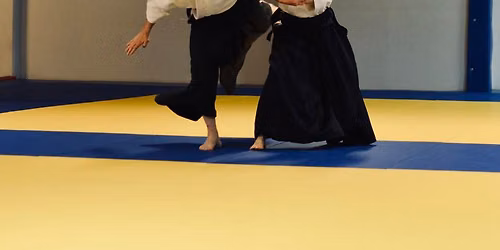 H\u00e9l\u00e8ne Dou\u00e9 6th dan Aikikai.