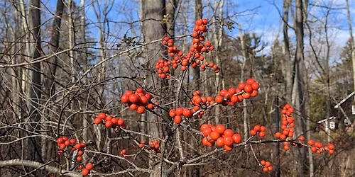 NJ Audubon: Winter Wonder Walk