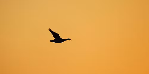 \u00d6ppen plattform vid S\u00e4ttuna