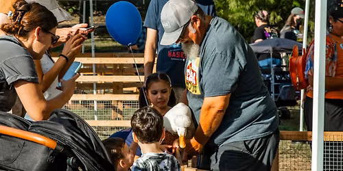 Fall Fest