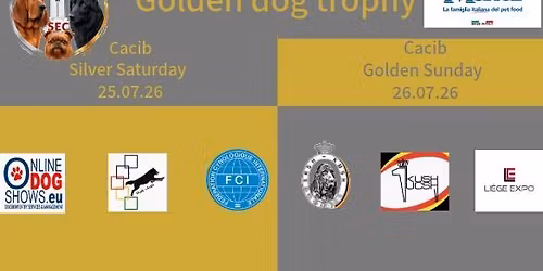 Golden dog trophy