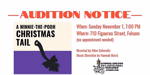 A Winnie-The-Pooh Christmas Tail Audition at Sutter Street Theatre