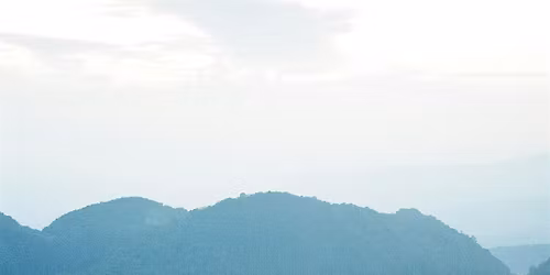 Plantation Architectures DAY TWO