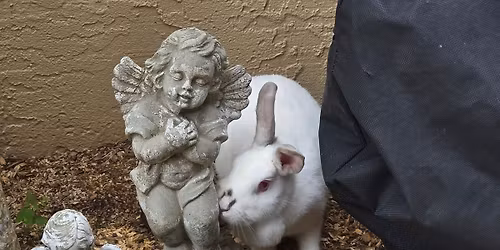 A Course of Miracles