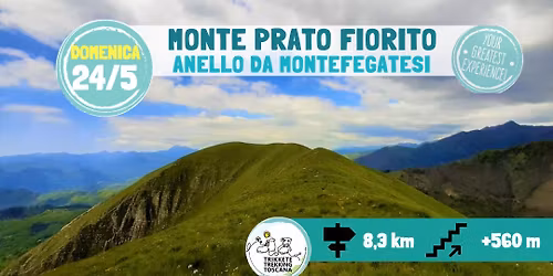 Monte Prato Fiorito 1297m - Escursione ad anello da Montefegatesi