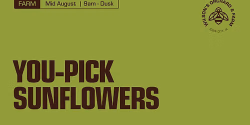 You-Pick Sunflowers