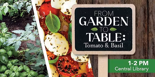 From Garden to Table: Tomato History Presentation: Marianna\u2019s Peace