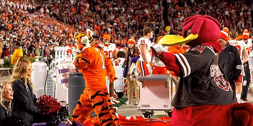 South Carolina Gamecocks at Clemson Tigers Mens Basketball