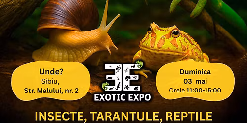 \ud83c\udf34\ud83d\udd77\ufe0f EXOTIC EXPO SIBIU \u2013 mai spectaculos ca niciodat\u0103! \ud83d\udc0d\ud83e\udd8e 
