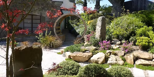 Thrive Into Summer; a Solstice Day Retreat