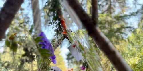 Family Forest Day: Fairy Fest