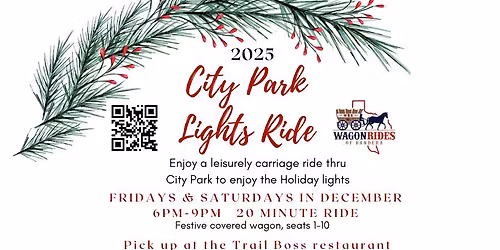 Horse-drawn carriage City Park Lights ride
