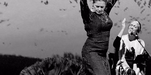 Flamenco Workshops mit \u00c1ngeles Gabald\u00f3n