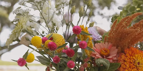 U-Pick Flowers at Deer Flat Ranch 